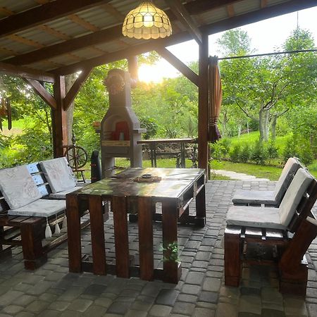 Hotel Окремий Будинок-Апартаменти Rakoshyno المظهر الخارجي الصورة