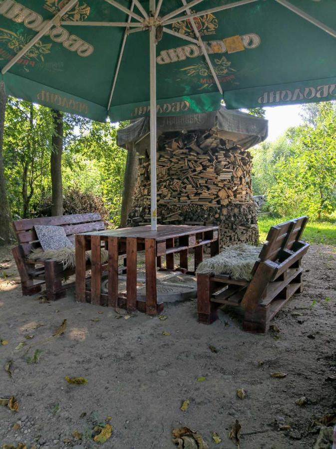 Hotel Окремий Будинок-Апартаменти Rakoshyno المظهر الخارجي الصورة